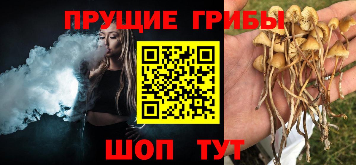 Галлюциногенные грибы GOLDEN TEACHER  Вход с VPN  Улан-Удэ 